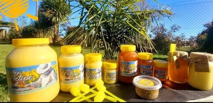 Foto de producción apícola
